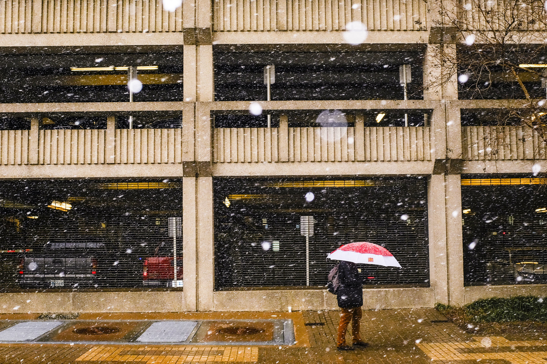 SnowFeature